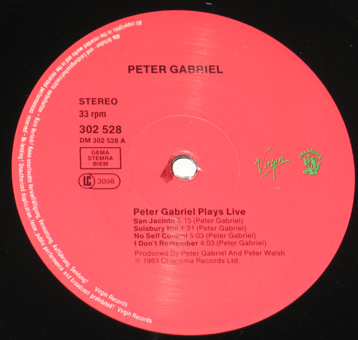 High Resolution Photo of peter gabriel plays live 